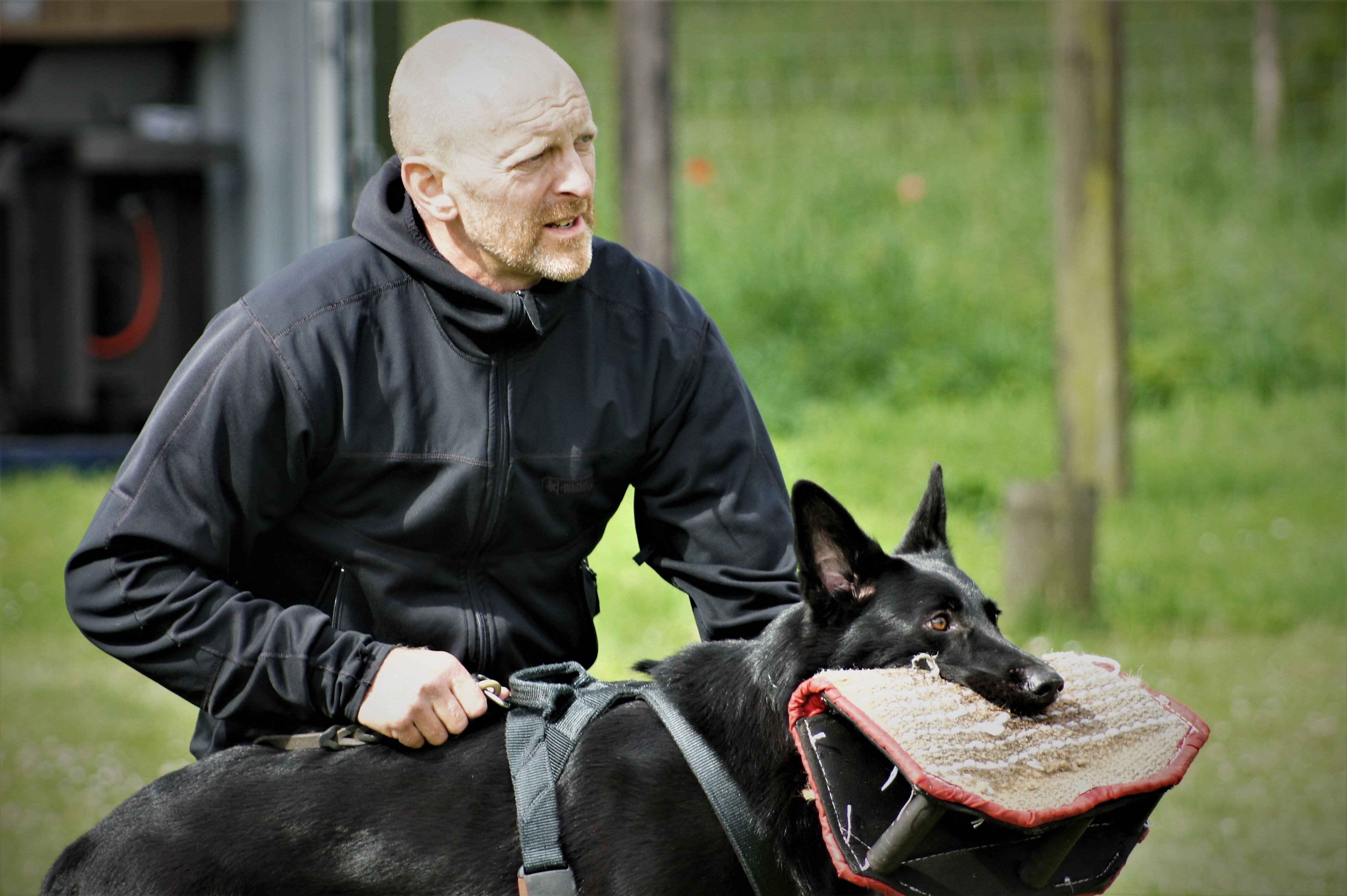 Team Englund's Fanni foto 1